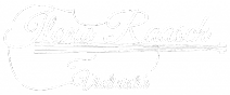 Ilona Raasch Logo